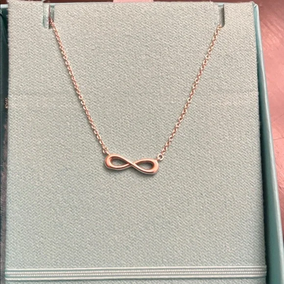 Tiffany & Co. Sterling Silver Infinity Necklace Set - Picture 5 of 9
